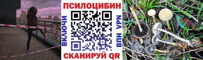 наркотики  Новочебоксарск  Псилоцибиновые грибы Psilocybine cubensis 